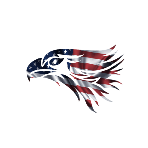 American Executive English Services